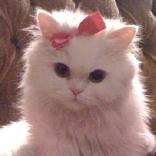 Guest_AnnaKitty03