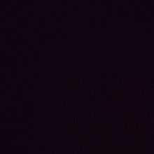 Guest_manu381127