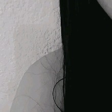 immagine avatar