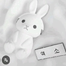 Guest_majorlanguidlavee3ef