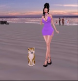 Guest_shahoda11