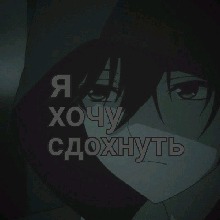 Guest_CJ37965