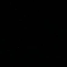 Guest_AnthuaGallardo