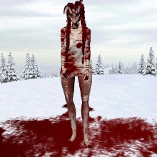 avatarbild