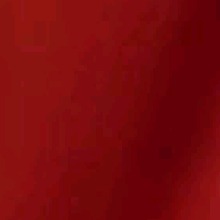 Guest_Katerin660010