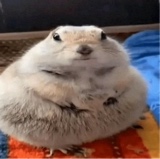 Guest_patatataaaalamasvia