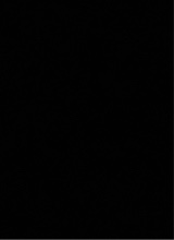 صورة الـavatar