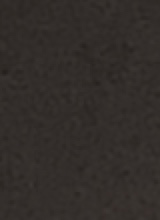 Guest_biadb2
