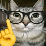 Guest_itwlaylay