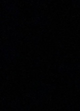 idontcare201
