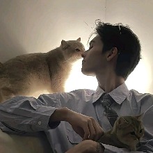 Guest_vuKaito