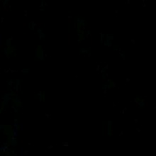 Guest_Bianca103936