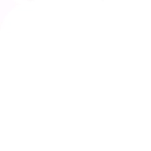Guest_Bia915802