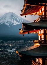 Guest_em945824