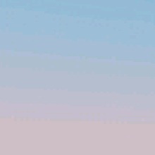 Guest_juan771006