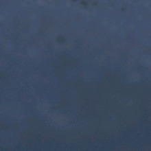 Guest_MoZaX