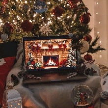 Guest_beaubluecanaryye5171
