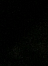 Guest_Surry1