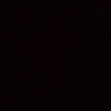 Guest_RoraBittencourt