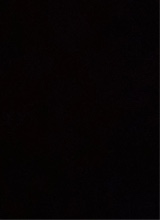 Guest_KJ982828