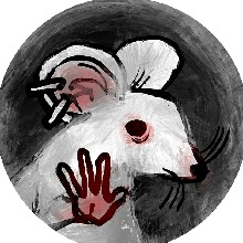 Guest_max216739