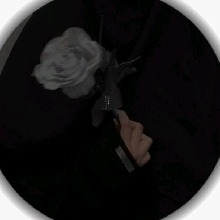 Guest_lyxoxo