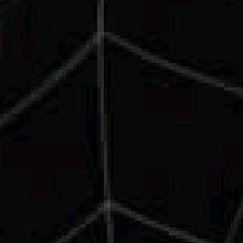 Guest_Michael322516