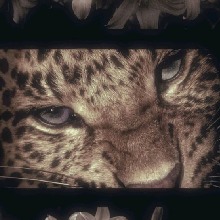 Guest_Rara170759
