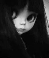 Guest_Flores9