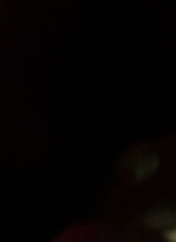 Guest_4MR0