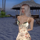 Guest_Xyla48