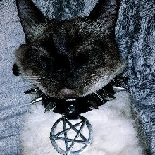Guest_Maysantosszz