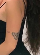Guest_laureniannaea