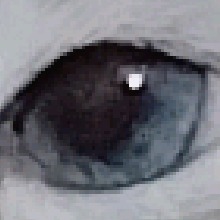 Guest_khakidarkspringg34fa