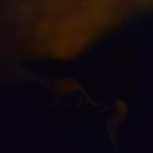Guest_Amgjel