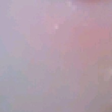 Guest_Leina28