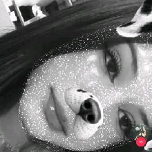 صورة الـavatar