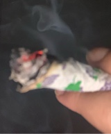 Guest_2moreebaccwooodss