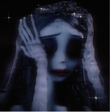 Guest_luna159183