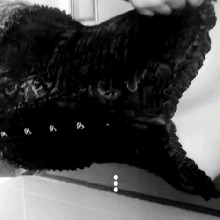 Guest_AgtTha