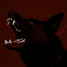 Guest_salmonbattleshipd3b9