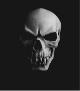 Guest_kruecified