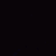 Guest_EstebanMyers