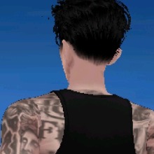 foto del avatar