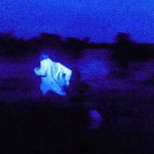 Guest_Nyyear7