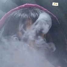 Guest_Raissa394934