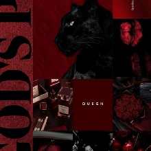 Guest_BryellaAraujx