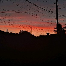 Guest_sosofereira123
