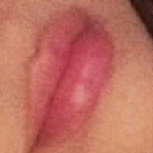 Guest_Elenni