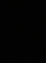 Guest_bistredarkterracc55d